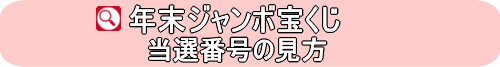 抽選結果の見方を解説